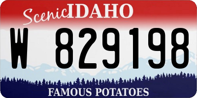 ID license plate W829198