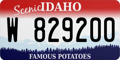 ID license plate W829200