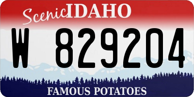 ID license plate W829204