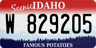 ID license plate W829205