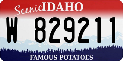 ID license plate W829211
