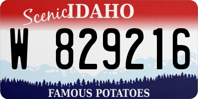 ID license plate W829216
