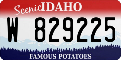 ID license plate W829225