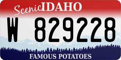 ID license plate W829228