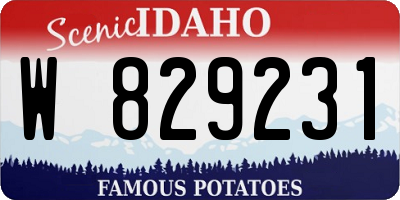 ID license plate W829231