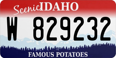 ID license plate W829232