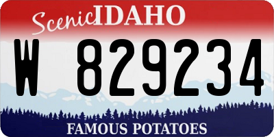 ID license plate W829234