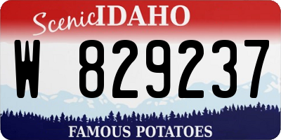 ID license plate W829237