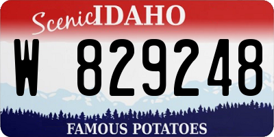 ID license plate W829248