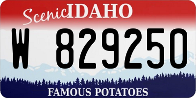 ID license plate W829250