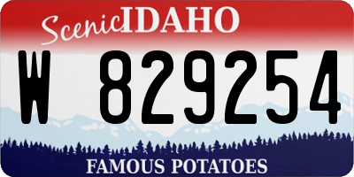 ID license plate W829254