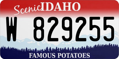 ID license plate W829255