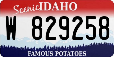 ID license plate W829258