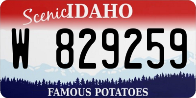 ID license plate W829259