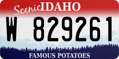 ID license plate W829261