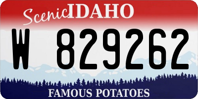 ID license plate W829262