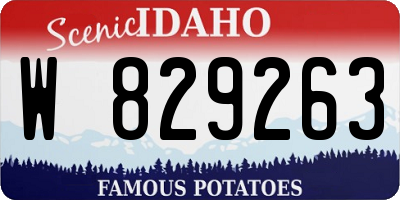 ID license plate W829263