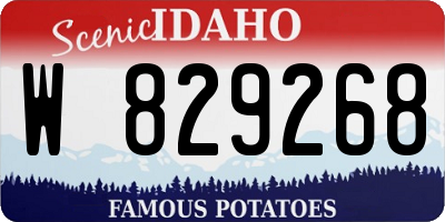 ID license plate W829268