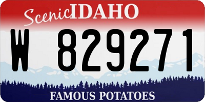 ID license plate W829271