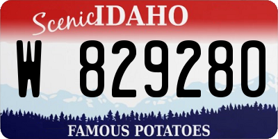 ID license plate W829280