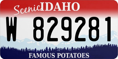 ID license plate W829281