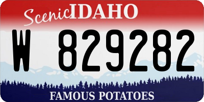 ID license plate W829282