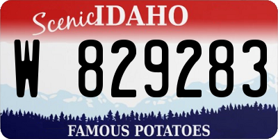 ID license plate W829283