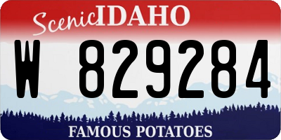 ID license plate W829284