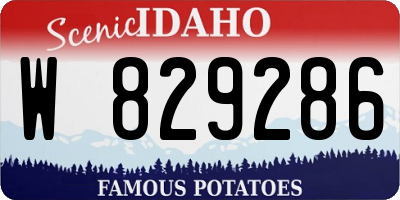 ID license plate W829286