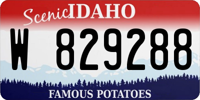 ID license plate W829288