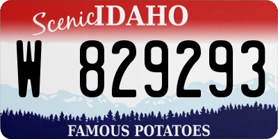 ID license plate W829293