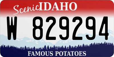 ID license plate W829294