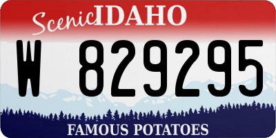 ID license plate W829295