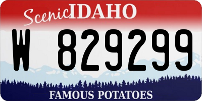 ID license plate W829299