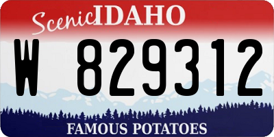 ID license plate W829312