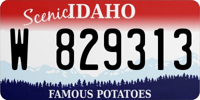 ID license plate W829313