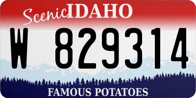 ID license plate W829314