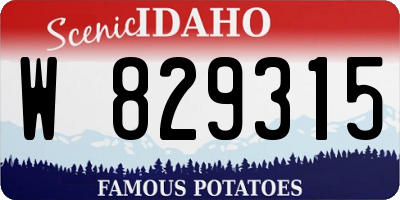 ID license plate W829315