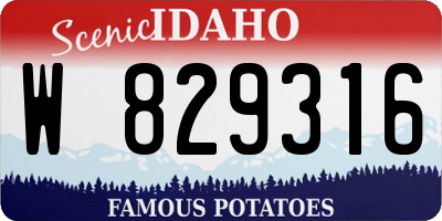 ID license plate W829316