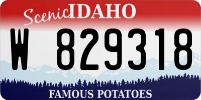 ID license plate W829318