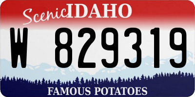 ID license plate W829319
