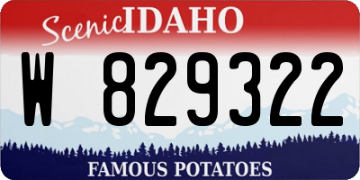 ID license plate W829322