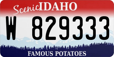 ID license plate W829333