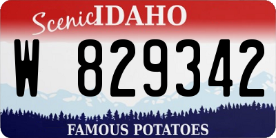 ID license plate W829342