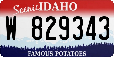ID license plate W829343