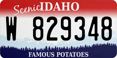 ID license plate W829348