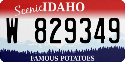 ID license plate W829349