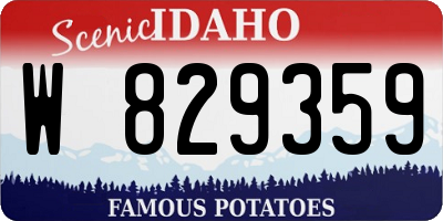 ID license plate W829359