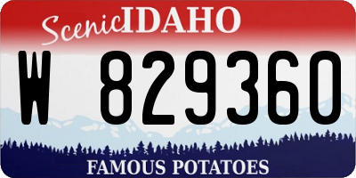 ID license plate W829360