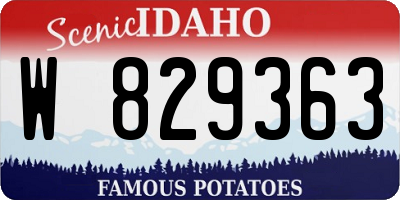 ID license plate W829363